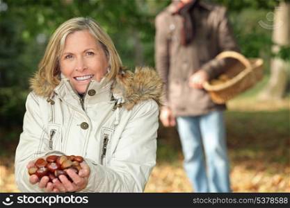 Gathering chestnuts