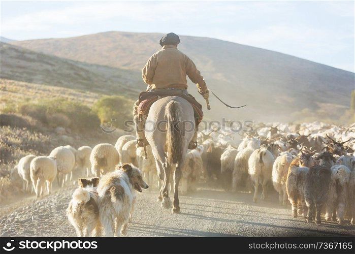 Gauchos ahd herd of goats in Patagonia mountains, Argentina