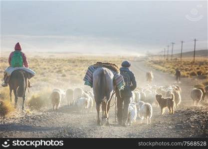 Gauchos ahd herd of goats in Patagonia mountains, Argentina