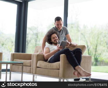 Gay Couple Love Home Concept. gay couple enjoying leisure time in living room