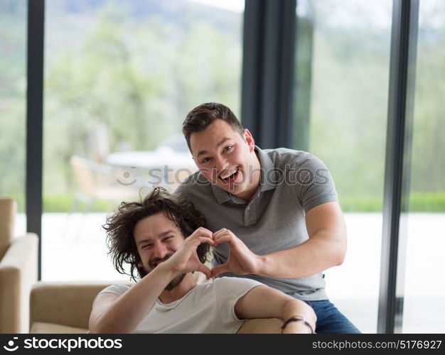 Gay Couple Love Home Concept. gay couple enjoying leisure time in living room