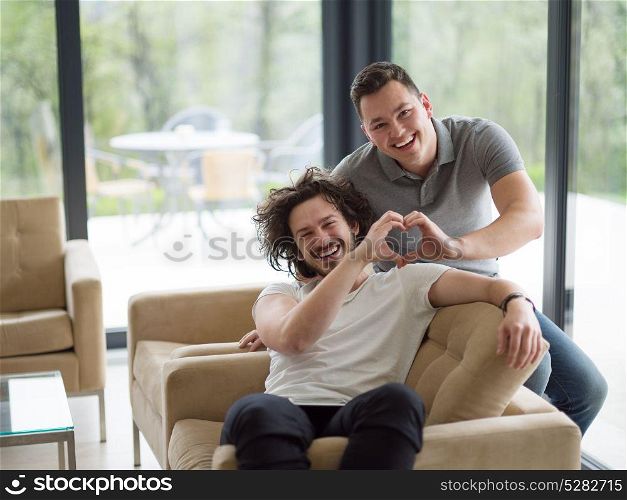 Gay Couple Love Home Concept. gay couple enjoying leisure time in living room