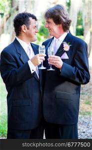 Gay couple toasting each other with champagne at their wedding.