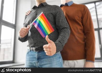 gay pride, lgbt and homosexual concept - close up of happy male couple with rainbow flags showing thumbs up. male couple with gay pride flags showing thumbs up. male couple with gay pride flags showing thumbs up