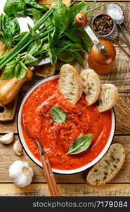 Gazpacho soup. Traditional spanish cold tomato soup of fresh raw vegetables