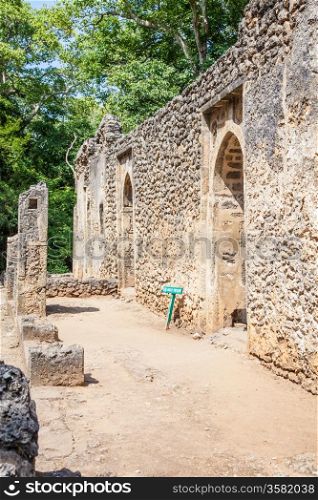 Gede ruins in Kenya are the remains of a Swahili town, typical of most towns along the East African Coast