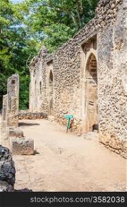 Gede ruins in Kenya are the remains of a Swahili town, typical of most towns along the East African Coast