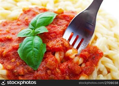 Gemelli pasta with tomato sauce and fresh basil.