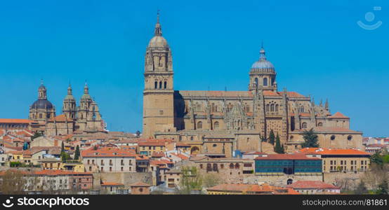 General view of Salamanca cathedral, spain