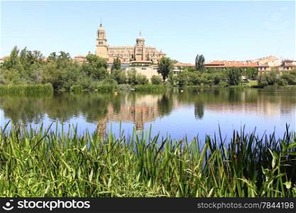 general view of the Cathedral of Salamanca, Spain