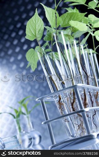 Genetic modifications on plants in lab