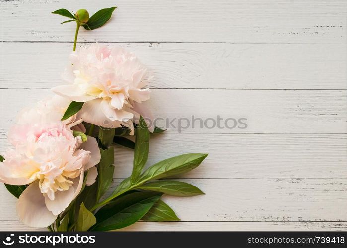 Gentle bouquet of peonies on light wooden background with copyspace. Gentle romantic peonies on light wooden background with copyspace