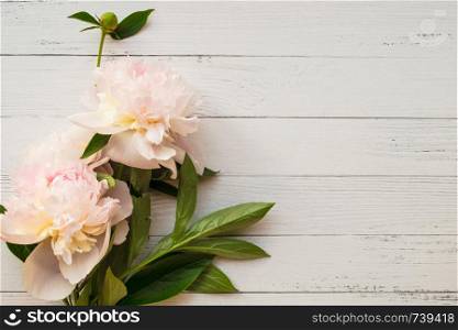 Gentle bouquet of peonies on light wooden background with copyspace. Gentle romantic peonies on light wooden background with copyspace