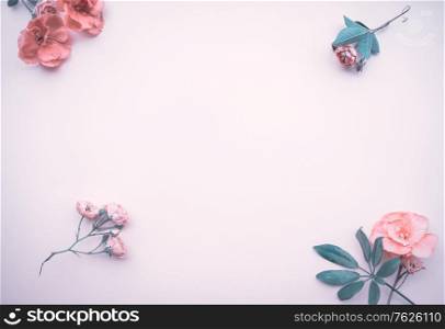 Gentle floral postcard, tender pink rose flowers isolated on pink background, photo with copy space, romantic invitation for wedding day