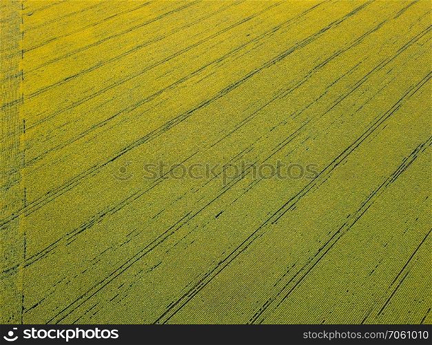 Geometric forms of agricultural fields with different crops in green color A bird’s eye view from the drone. Texture of plant background. Top view. Aerial view from the drone to fields with crops in the spring at sunset