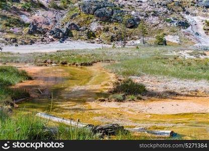 Geothermal Activity in Artists Paintpots, Yellowstone National Park, Wyoming