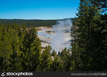 Geothermal Activity in Mammoth Hot Springs, Yellowstone National Park, Wyoming