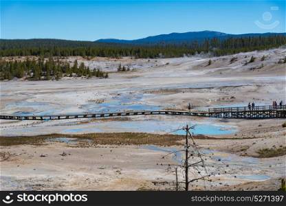 Geothermal Activity in Norris Geyser Basin, Yellowstone National Park, Wyoming