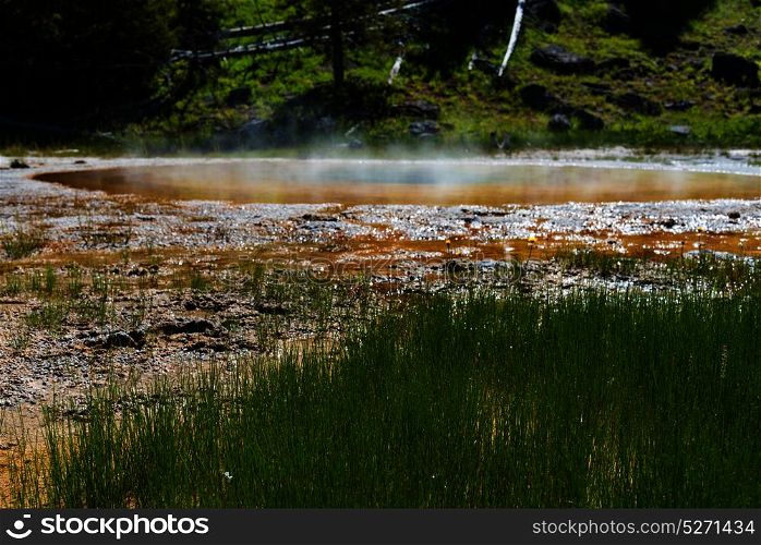 Geothermal Pool in Yellowstone National Park, Wyoming