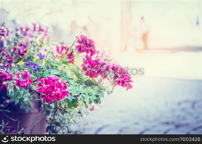 geranium flowers in a pot on the street on solar background blur city