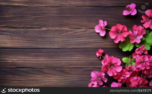 Geranium flowers on brown wooden background. Top view with copy space