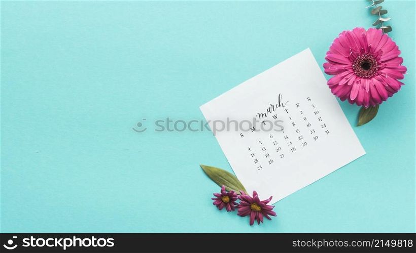 gerbera flower with march calendar table