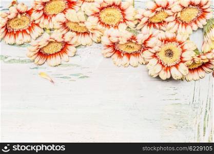 Gerbera flowers border on light shabby chic background, top view