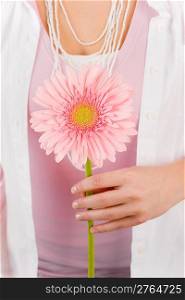 Gerbera pink daisy flower hold by woman innocence femininity