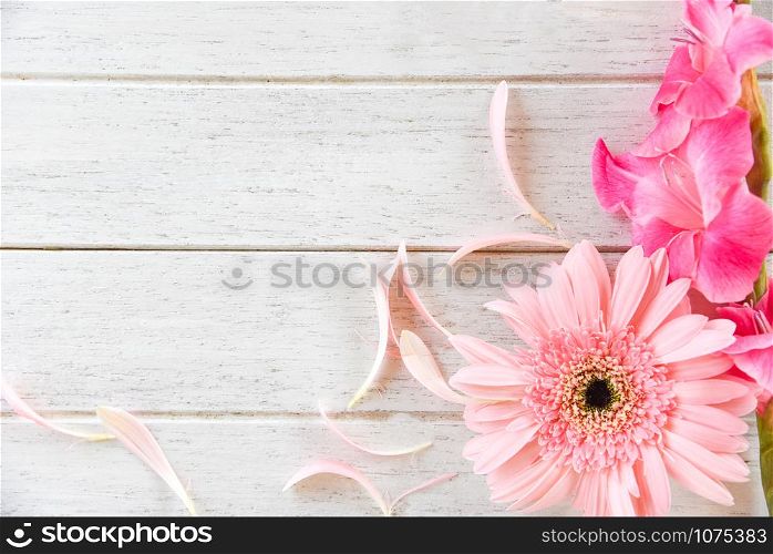 Gerbera pink Gladiolus flower spring summer and petal decorate on white wooden background - top view copy space