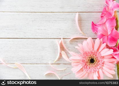 Gerbera pink Gladiolus flower spring summer and petal decorate on white wooden background - top view copy space