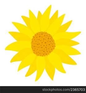 Gerbera single yellow flower vector illustration. Blooming yellow sunny garden flower. Botanical natural abstract decoration. Gerbera single yellow flower vector illustration