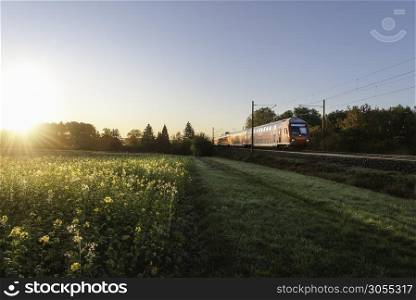 German regional train and rapeseed field at sunrise. Passenger train traveling in spring scenery. Eco-friendly public transport in a rural landscape.
