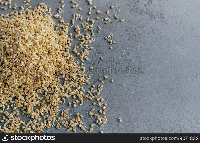 Germinated buckwheat overhead isolated over grey background with copy space. Healthy raw diet. Organic food. Sprouts or grains