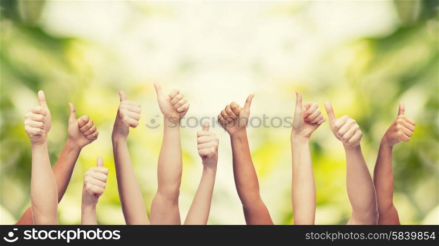 gesture and body parts concept - human hands showing thumbs up. human hands showing thumbs up
