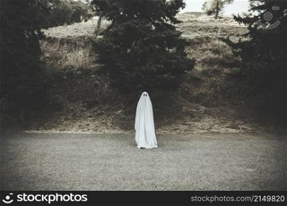 ghost standing dark countryside road