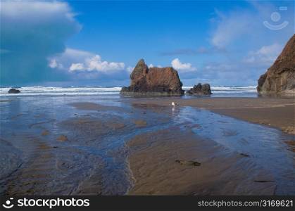 Giant Rocks Standing On A Muddy Ocean Shore