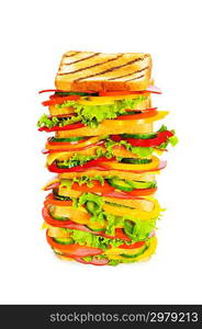 Giant sandwich isolated on the white background