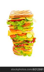 Giant sandwich isolated on the white background