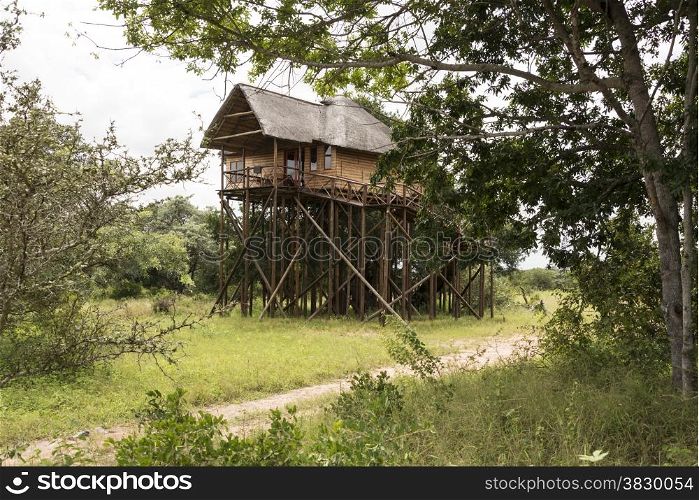 giant wooden house on poles in africa nature