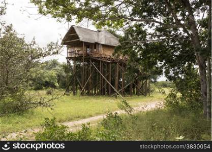 giant wooden house on poles in africa nature