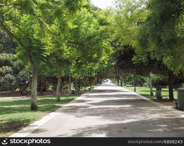 Giardini pubblici (Public park) in Cagliari. Giardini pubblici (Public urban park) in Cagliari, Italy