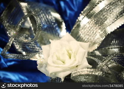 gift bow macro close up