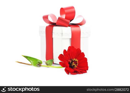 gift box and red flower close up