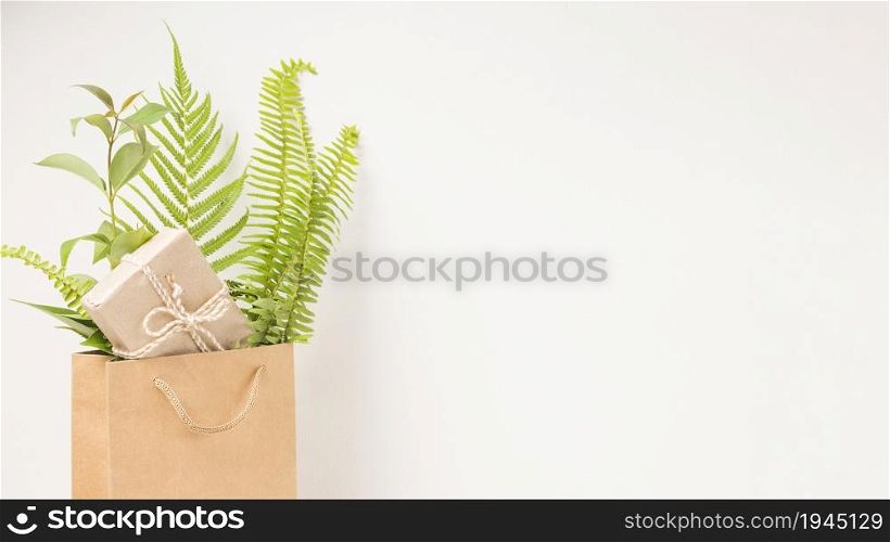 gift box green fern leaves brown paper bag with space text. High resolution photo. gift box green fern leaves brown paper bag with space text. High quality photo