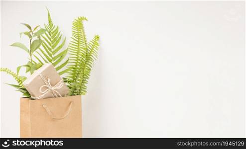 gift box green fern leaves brown paper bag with space text. High resolution photo. gift box green fern leaves brown paper bag with space text. High quality photo