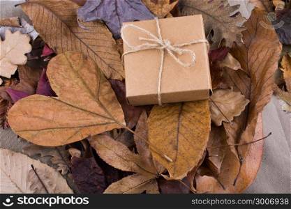 Gift box of brown color and heart shaped cut leaf and other leaves