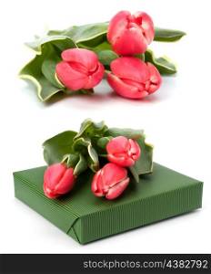 gift with pink tulips isolated on white background
