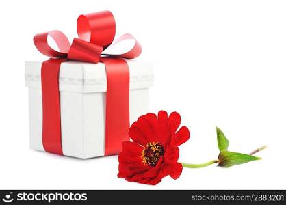 giftbox and red flower close up