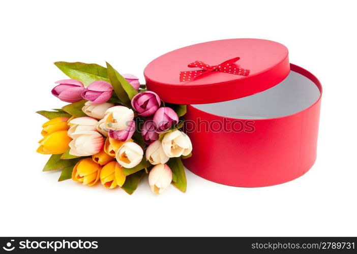 Giftbox and tulips isolated on white