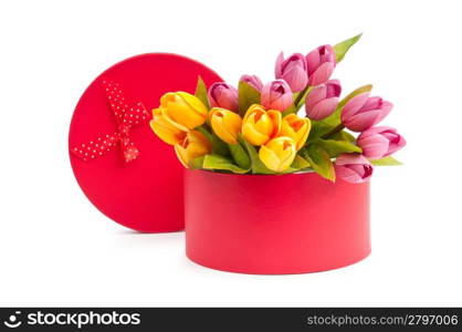 Giftbox and tulips isolated on white